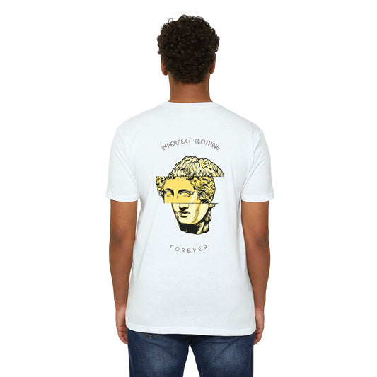 ROMAN EMPIRE IMPERFECT