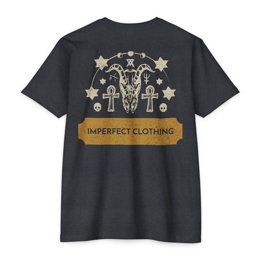 IMPERFECT ASTROLIGY T-shirt